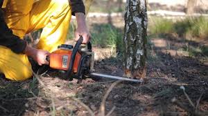 Best Utility Line Clearance  in Towaoc, CO