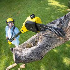 Best Organic Lawn Care Solutions  in Towaoc, CO