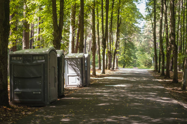 How Our Tree Care Process Works  in  Towaoc, CO