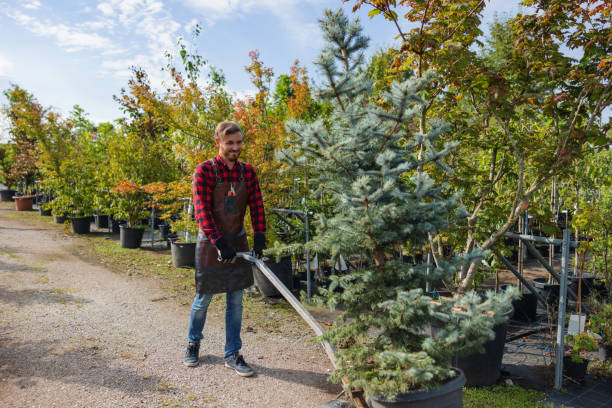 Best Leaf Removal  in Towaoc, CO